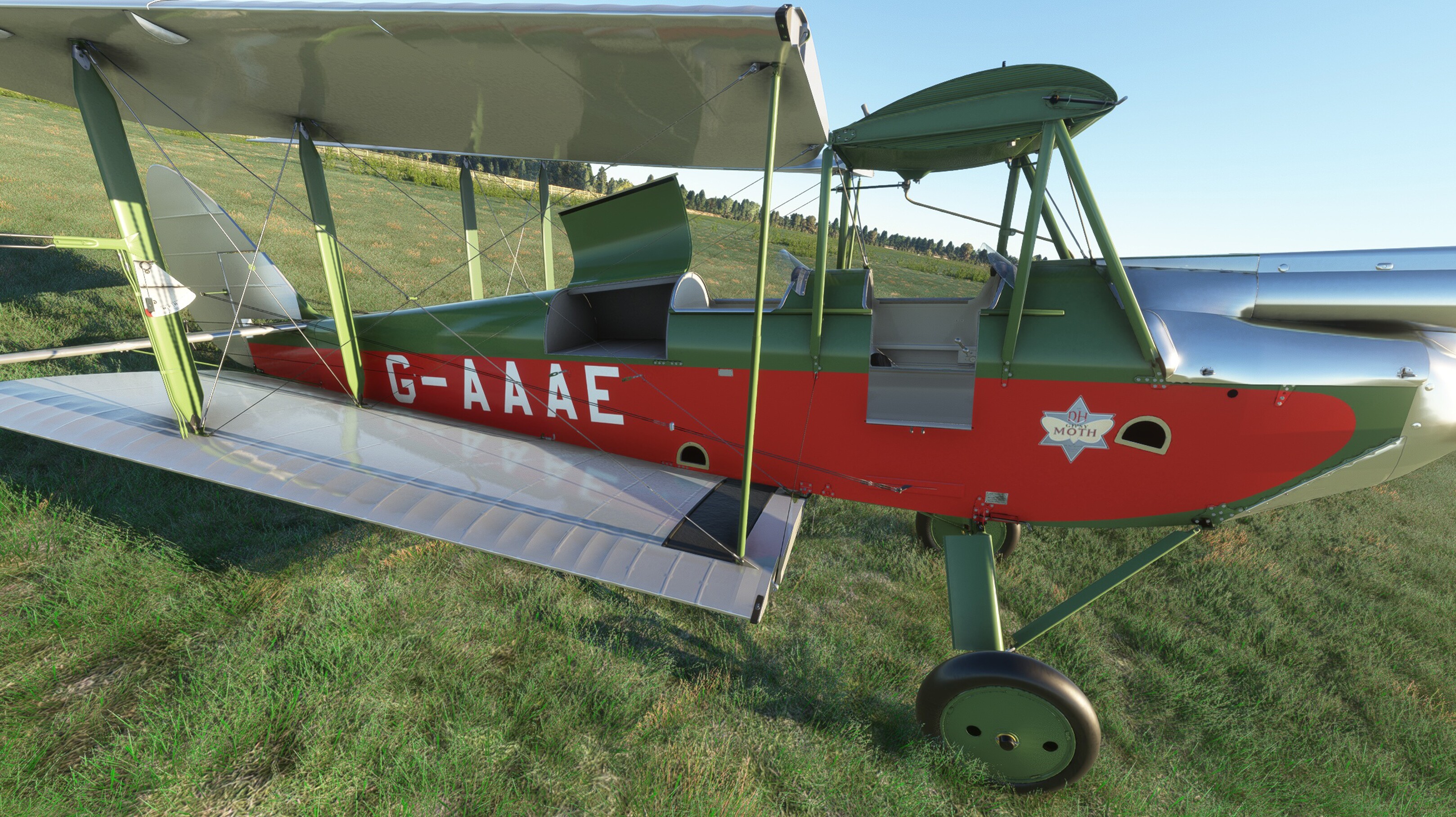 DH.60G Gipsy Moth — MSFS screenshot 3 of 31