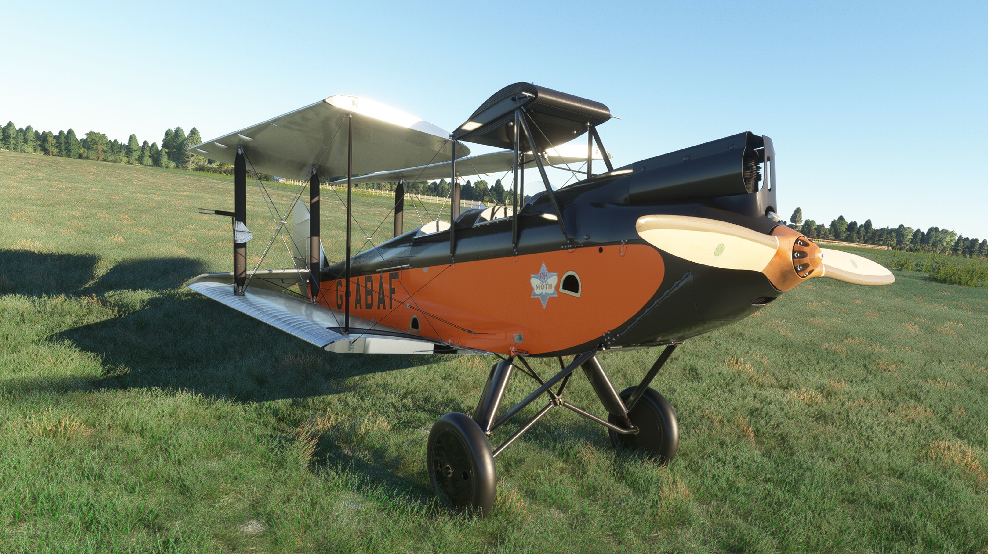 DH.60G Gipsy Moth — MSFS screenshot 7 of 31