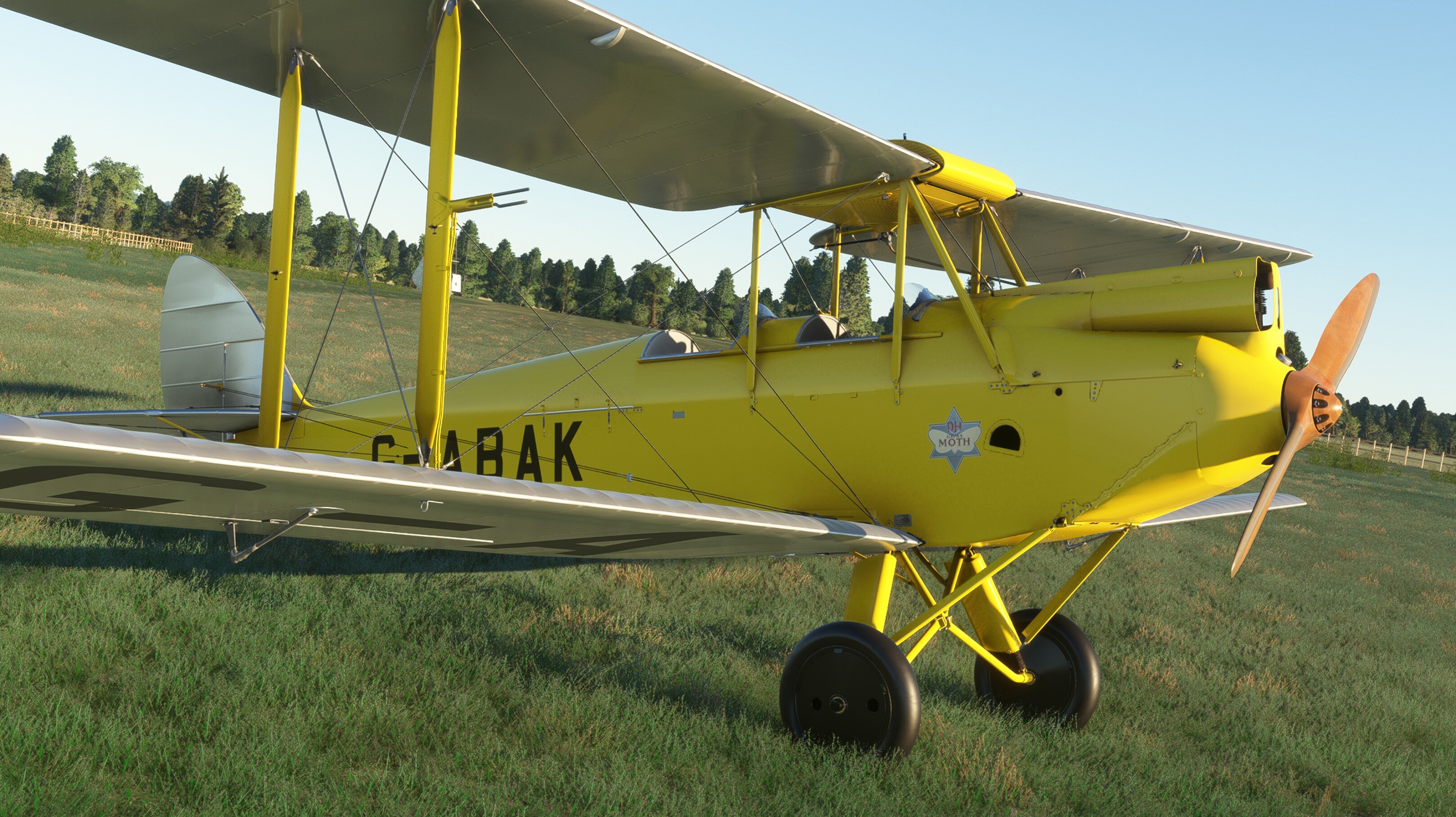 DH.60G Gipsy Moth — MSFS screenshot 10 of 31