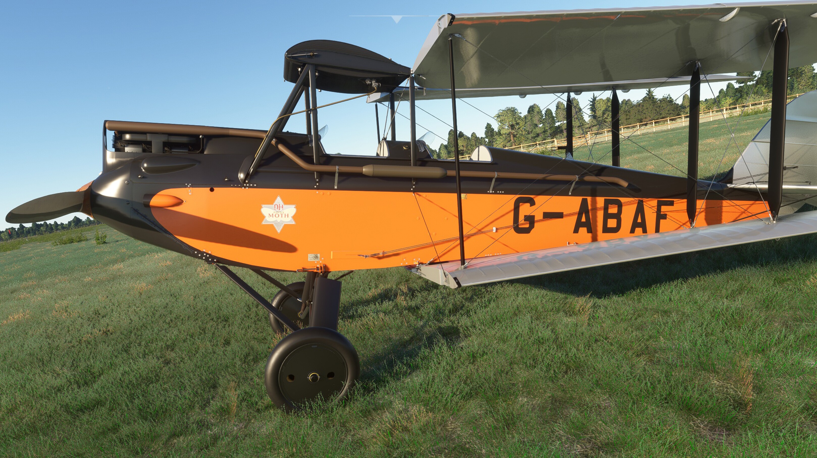 DH.60G Gipsy Moth — MSFS screenshot 1 of 31