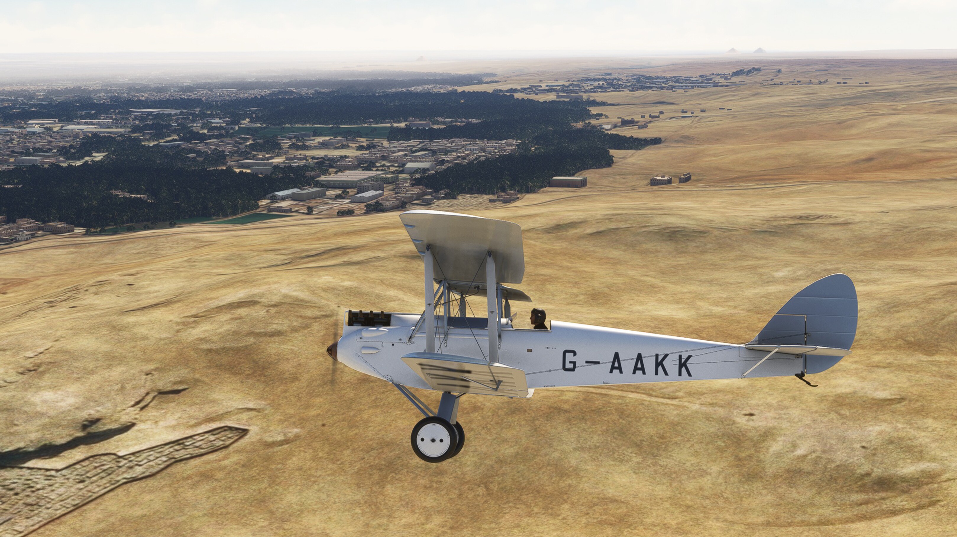 DH.60G Gipsy Moth — MSFS screenshot 19 of 31