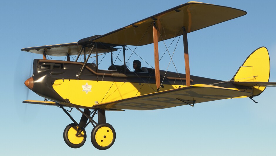 DH.60G Gipsy Moth — MSFS screenshot 28 of 31