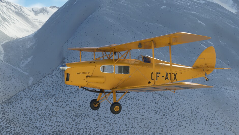DH.83 Fox Moth — MSFS screenshot 16 of 29