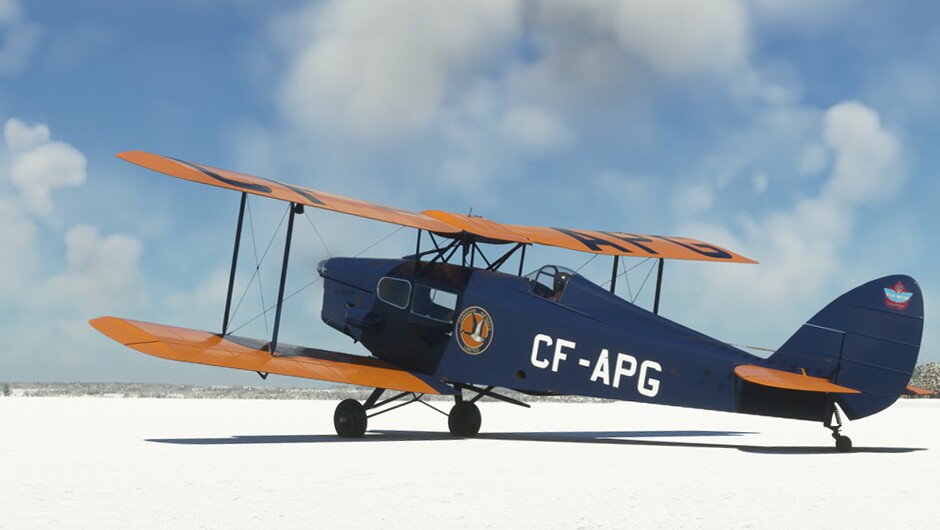 DH.83 Fox Moth — MSFS screenshot 24 of 29