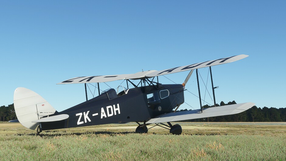 DH.83 Fox Moth — MSFS screenshot 25 of 29