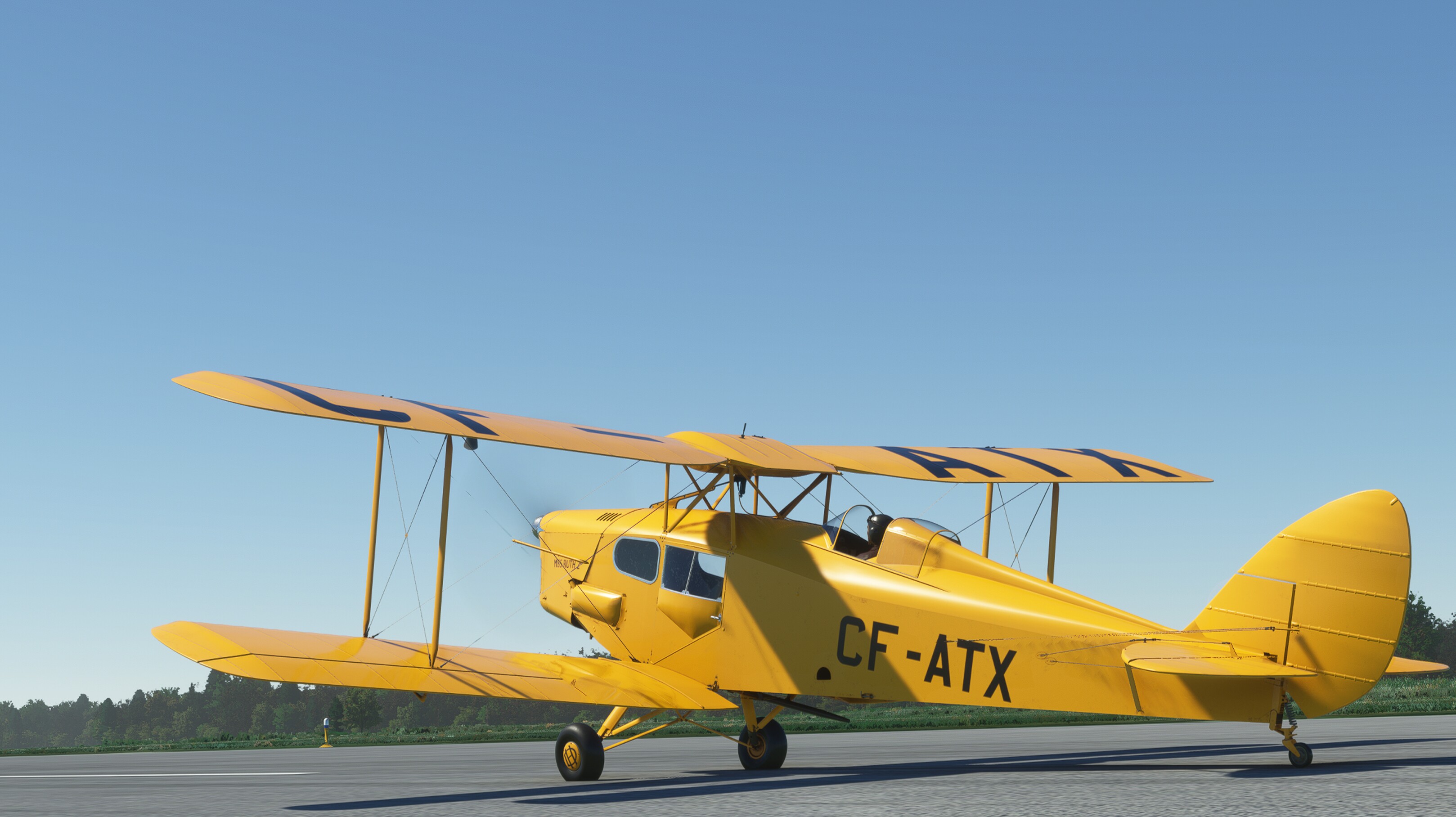 DH.83 Fox Moth — MSFS screenshot 1 of 29