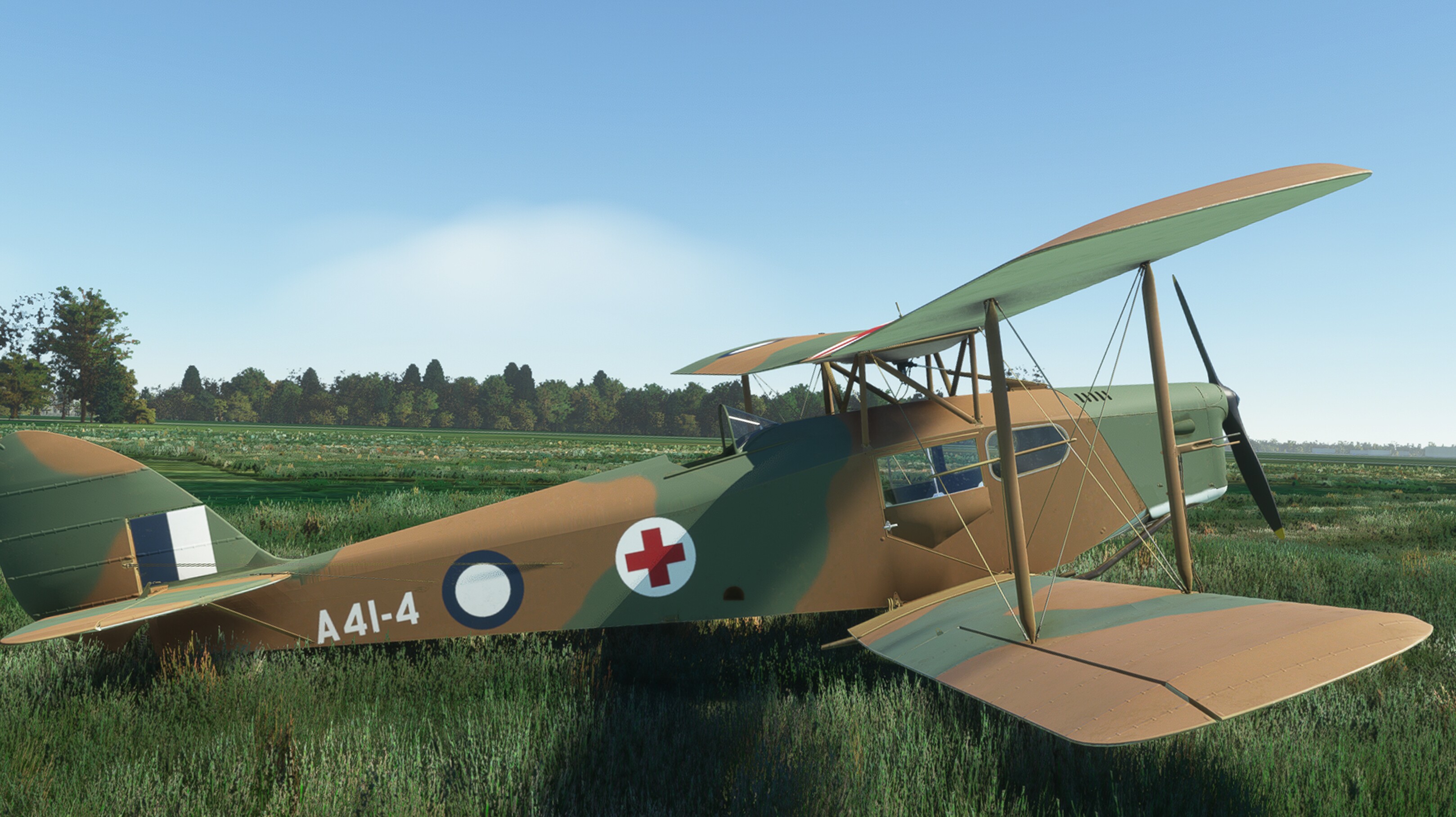 DH.83 Fox Moth — MSFS screenshot 2 of 29