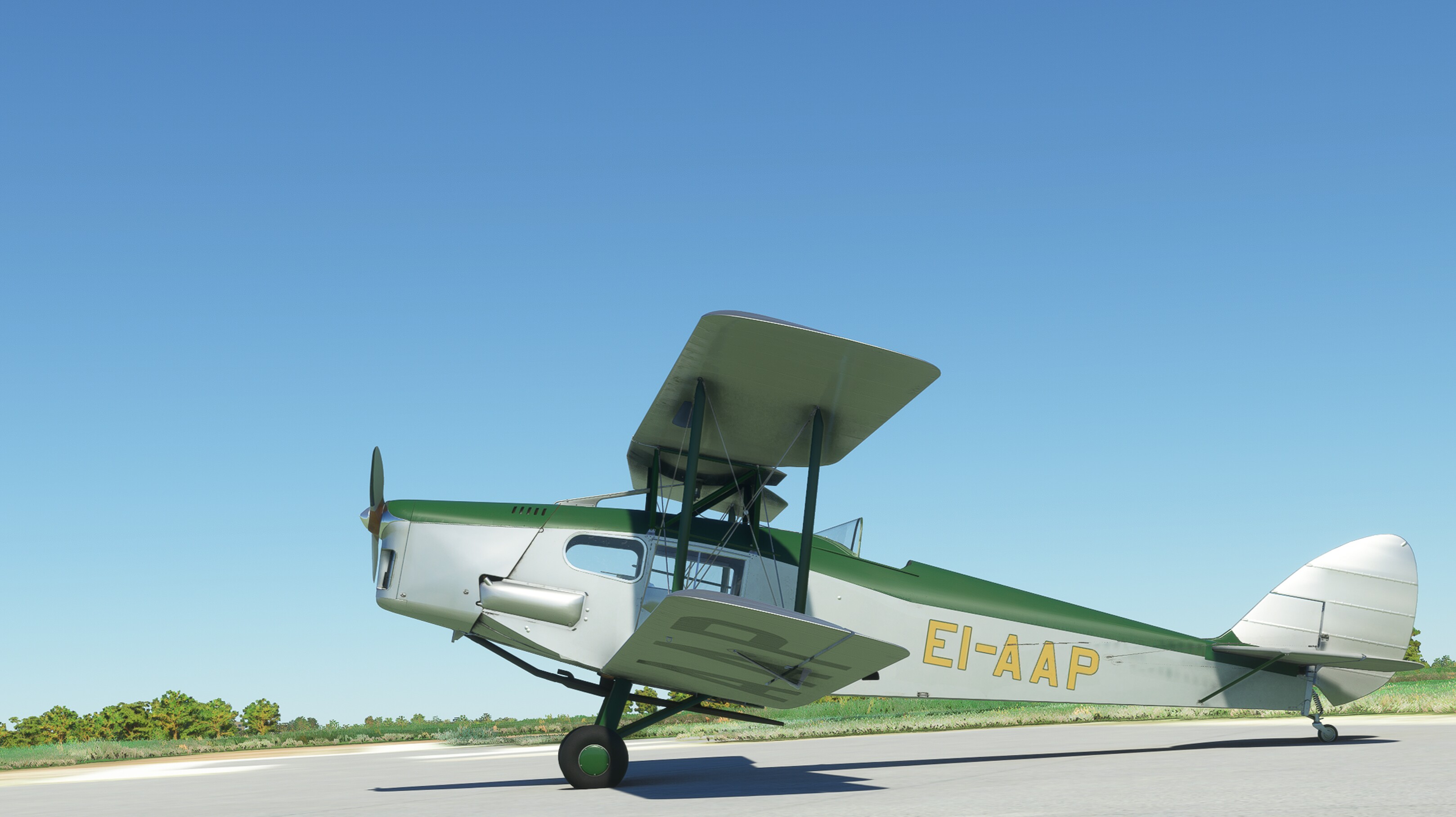 DH.83 Fox Moth — MSFS screenshot 7 of 29