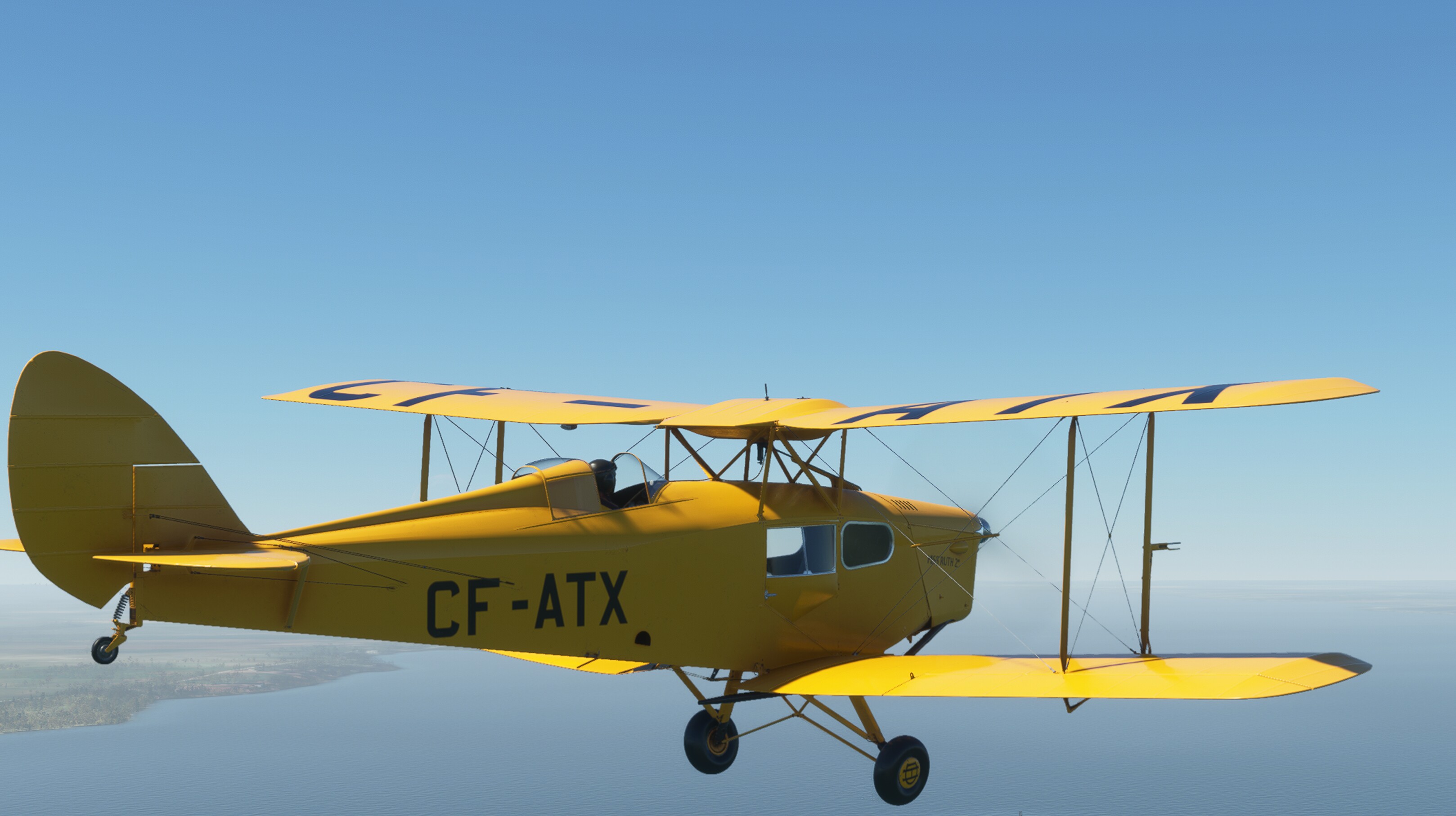 DH.83 Fox Moth — MSFS screenshot 8 of 29
