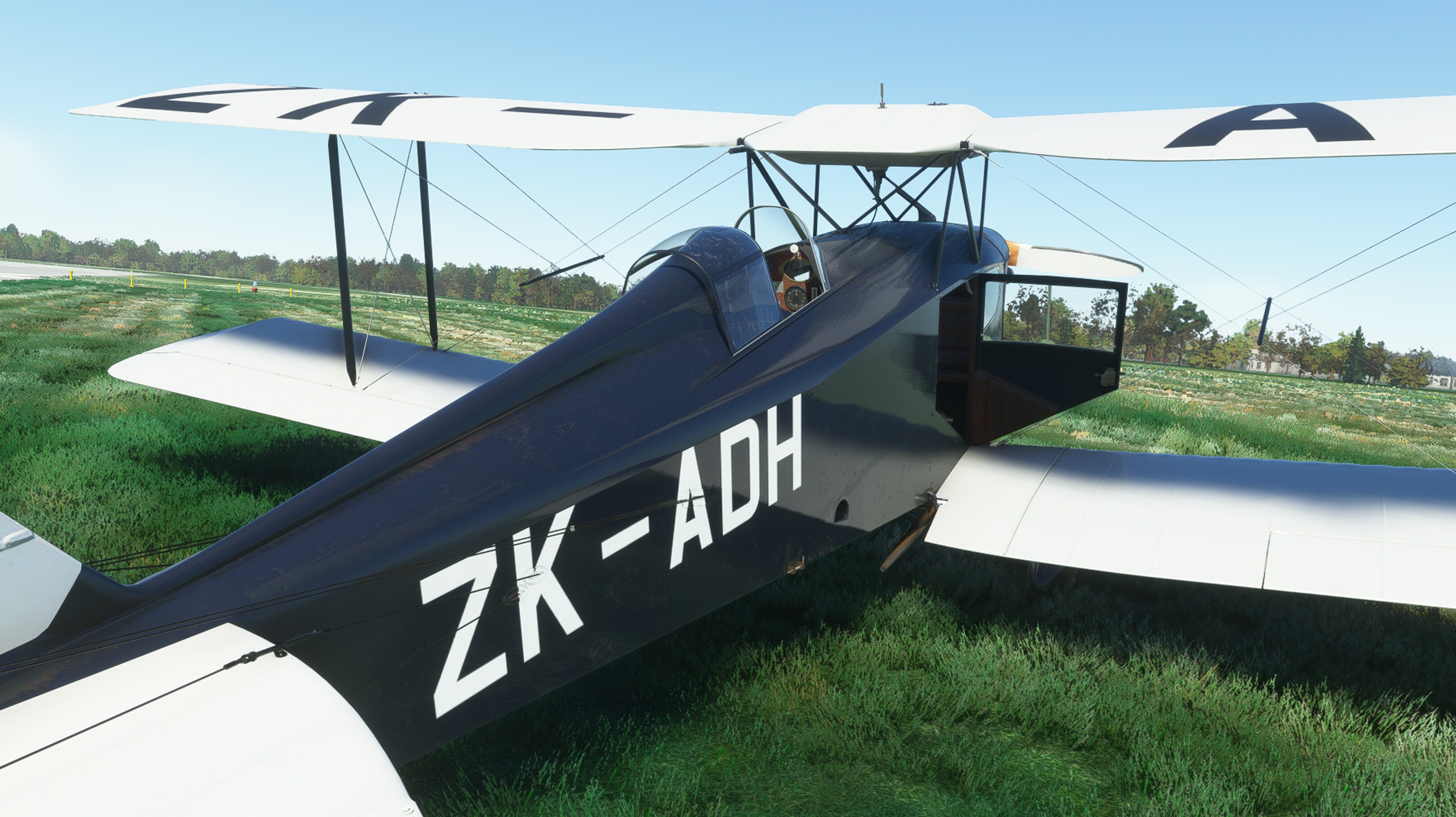 DH.83 Fox Moth — MSFS screenshot 15 of 29