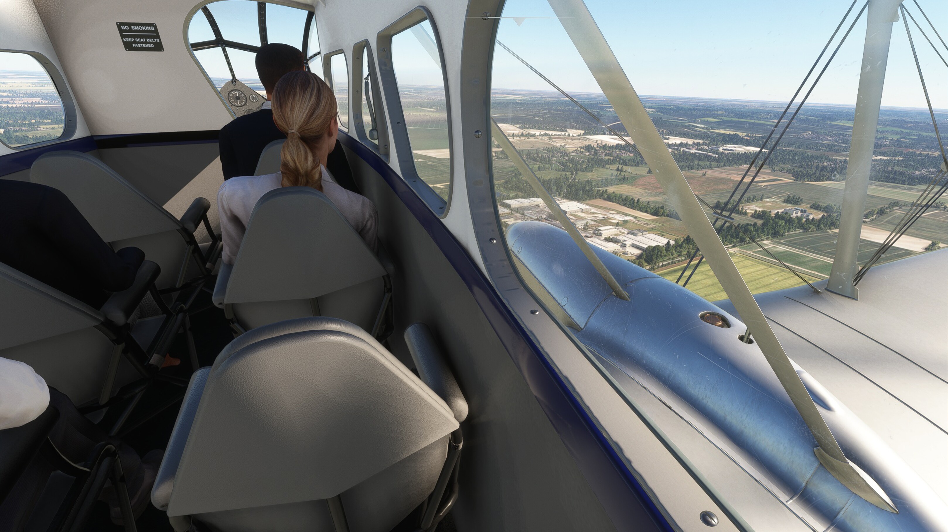 DH.89 Dragon Rapide — MSFS screenshot 4 of 19
