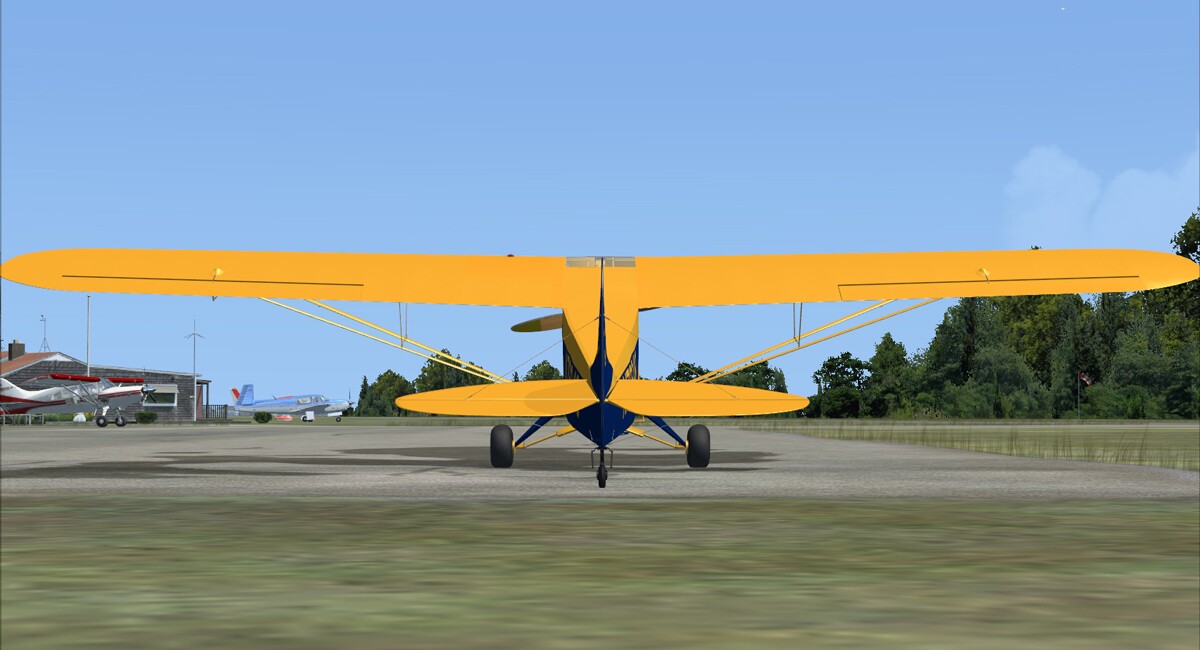 PA-11 Cub Special — FSX archive screenshot 2 of 17
