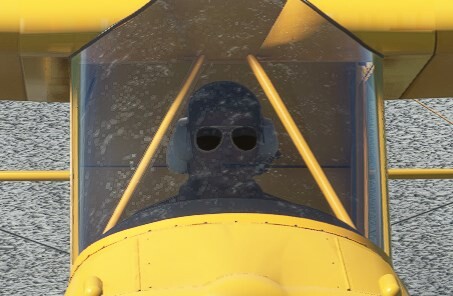 PA-11 Cub Special — MSFS screenshot 15 of 17